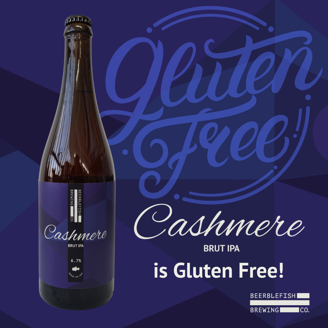Cashmere Brut IPA is Gluten Free!